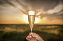 Glass of Sparkling Wine